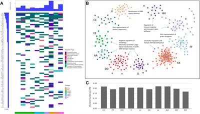 Multi-omics analysis of the Indian ovarian cancer cohort revealed histotype-specific mutation and gene expression patterns